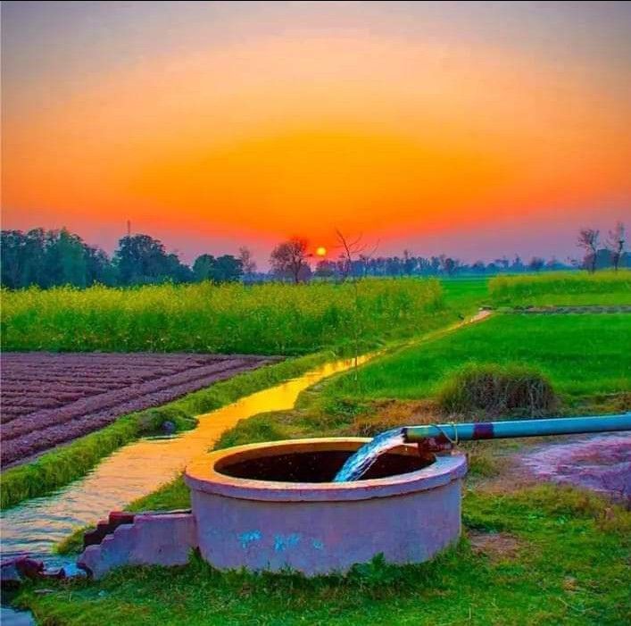 Agricultural